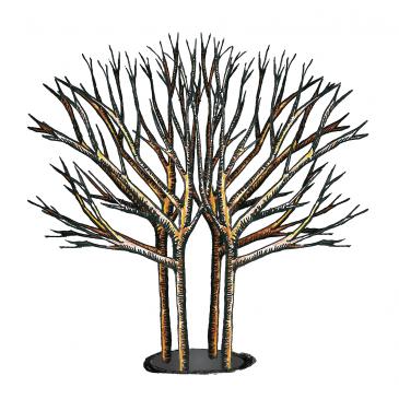 9894 Waimea Nurseries Four Tree Ilustration Apr16 Final2