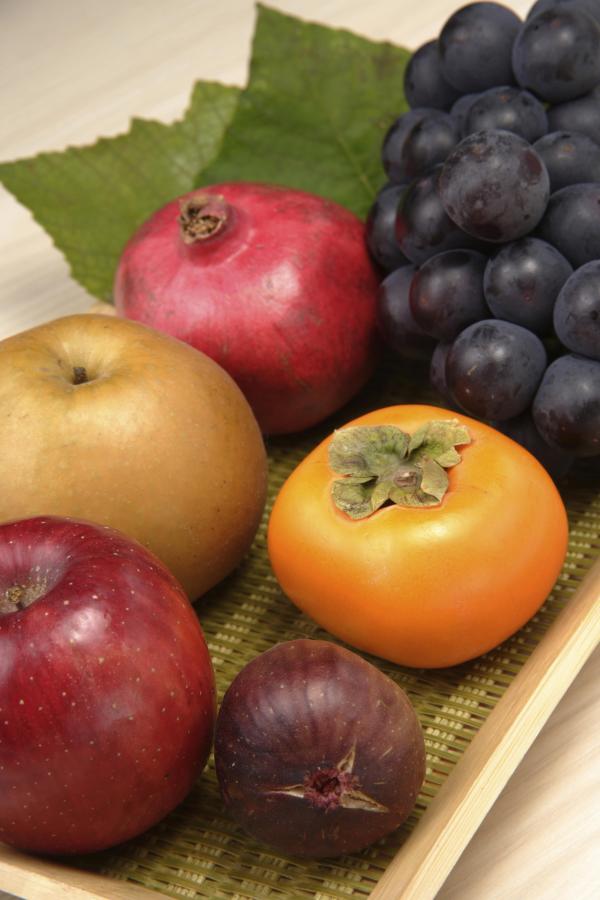 Autumn fruits still life