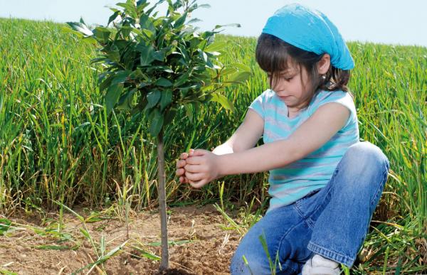 Girl planting tree for blog 775px wide RGB