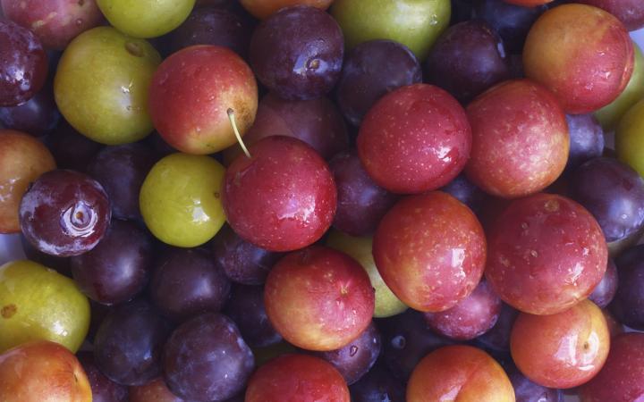 Mixed-plums.jpg