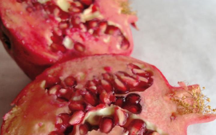 Fruit Trees / Pomegranates / Wonderful